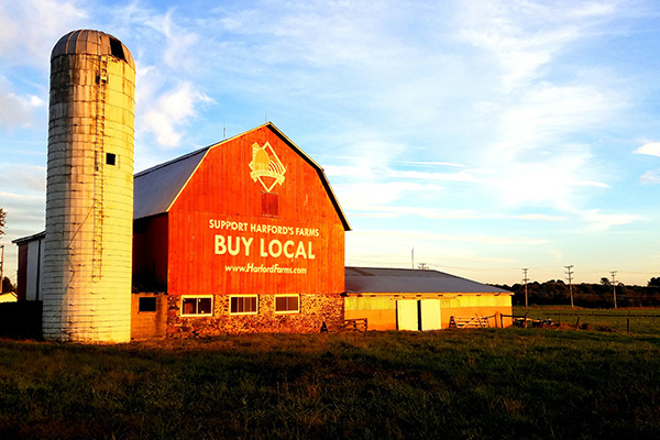 Booming Beer Agriculture Supports Local Brewers