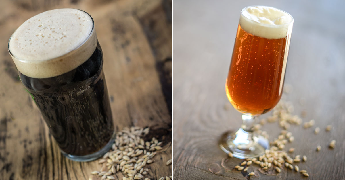 craft beer and malt