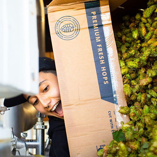 woman pouring fresh hops