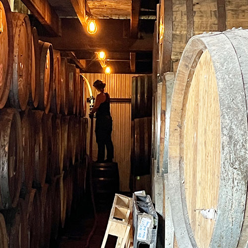 woman working in barrel cellar area